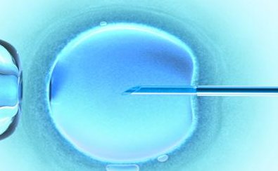 上海三代试管婴儿成功率医院排行榜上海第六医院三代试管婴儿成功率