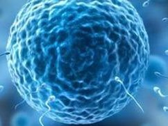 江西助孕机构巨头榜单揭晓：九江公益助孕医院领跑五强！