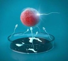 2026年想去津市市做试管婴儿需要准备哪些事？详细收费明细一览