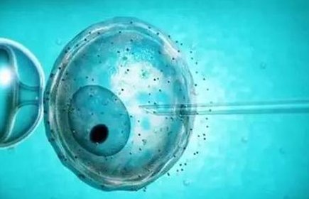 自贡市哪里可以做试管婴儿？